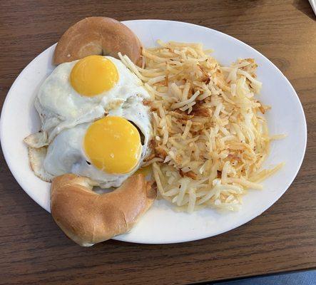 Tail Spin Cafe