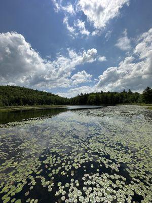 Bolton Conservation Park