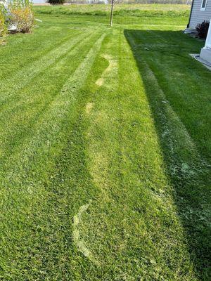 Landscape Concepts Management