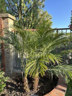 FS Landscaping & Gardening