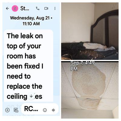 Michael McElwee - eXp Realty