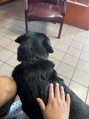 Kwik Kar Lube & Tune