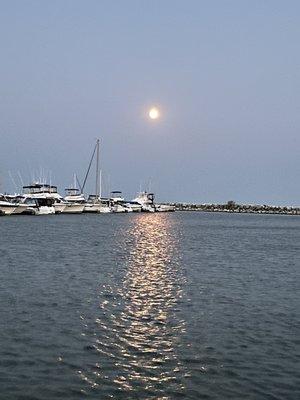 Harbor Centre Marina