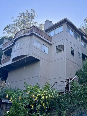 Solid body stain and paint. Mill valley fall 2024