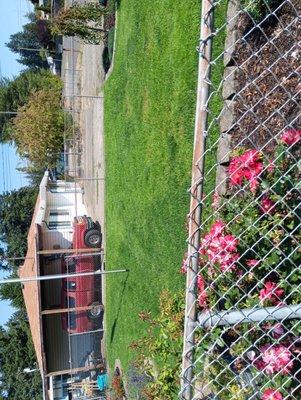 Danny's Affordable Yard Care and Maintenance