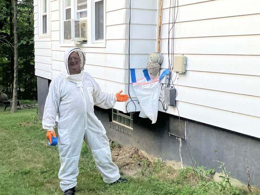 Insect X Pest Solutions