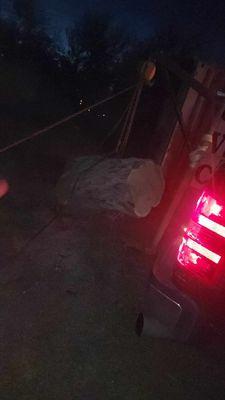 Allwood Tree Service