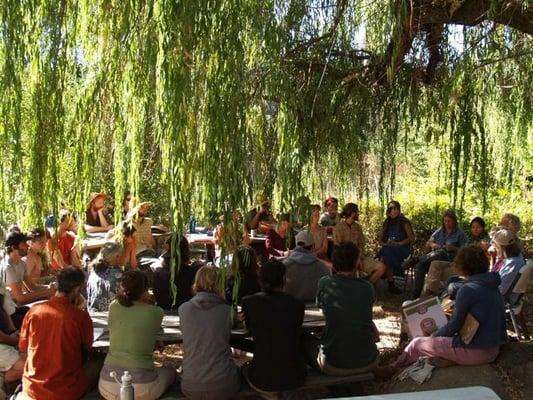 Live Power Community Farm