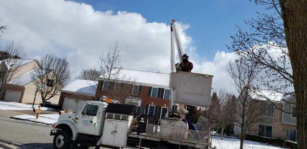 Pros Mulch & Tree Service