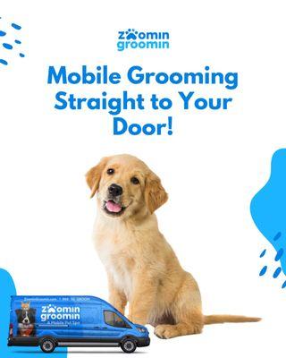 Zoomin Groomin