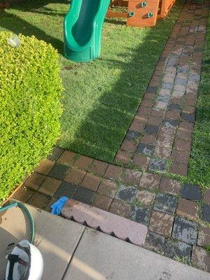 Green Lawn Services