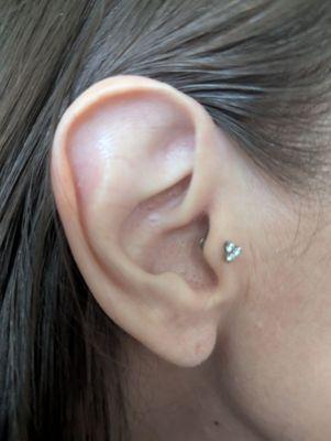 Steel N Ink Body Piercing