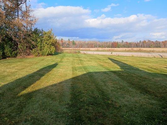 Bob's Lawn Care and Landscaping