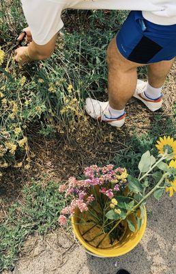 Rosie's Produce Market