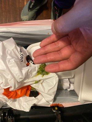 Hair pulled out of my mouth, chewed up 25. Grilled Sausage and Egg Roll with Vermicelli in the trash I spat out