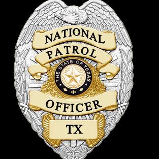 National Security & Protective Services