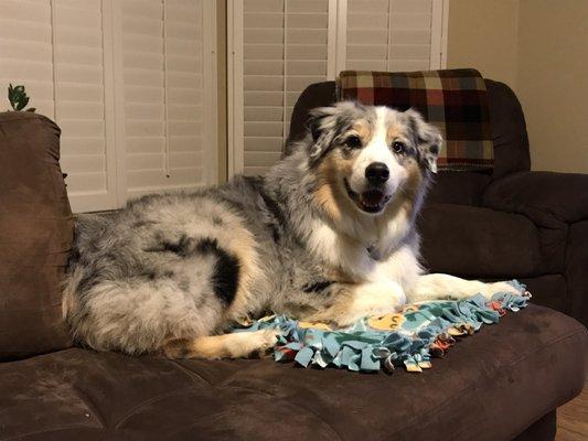 Sweet-Grace Pet Care