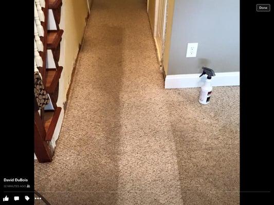 Sunny Days Carpet Cleaning