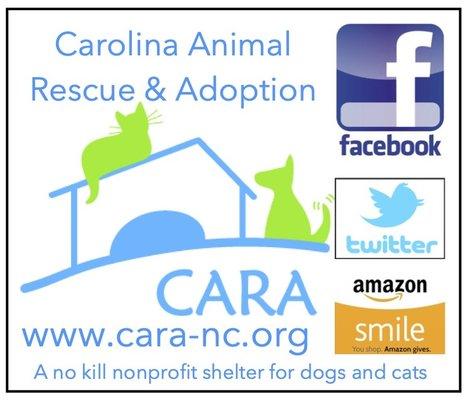Carolina Animal Rescue & Adoption