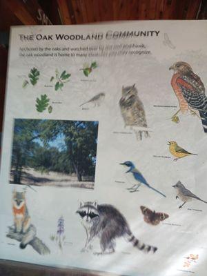 Auburn School Park Preserve