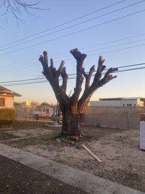 ALL’X Lawn Care And Landscaping