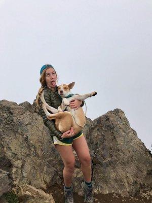 Modern Wolf Adventures