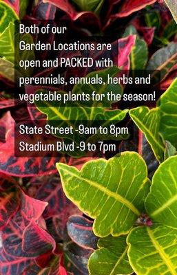 Gardening Season Is Here!
Stop by one of our locations today for Annuals, Perennials, Vegetable Plants and Herbs!