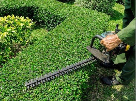 Landscapings best choice