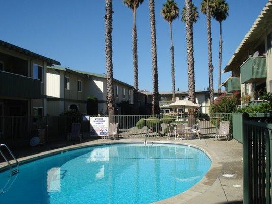 Palm Villa Apartments