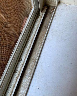 Community Cleaning Service