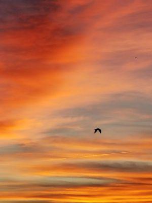 The colors of the rainbow so pretty in the sky are also on the faces of people going by..