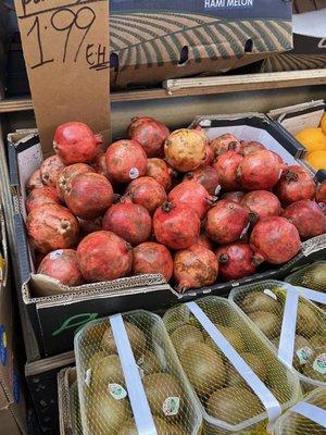 Gourmet Deli
