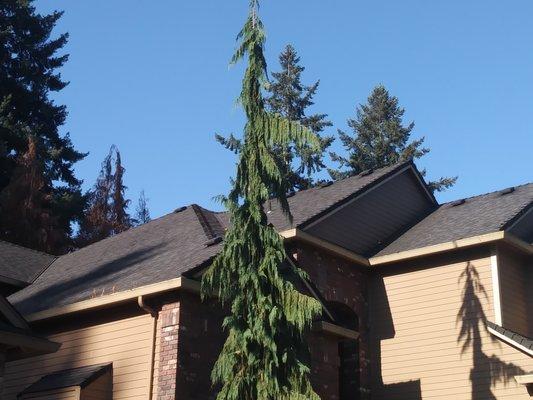 Exterior Excellence Northwest