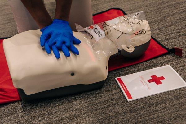 Touch of Excellence Academy