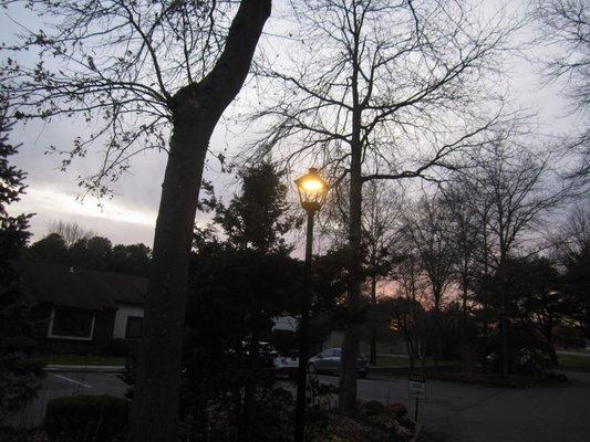 Premier Management Solutions