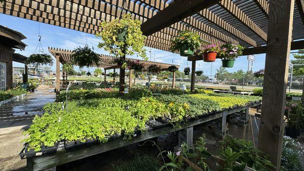 Cristinas Garden Center