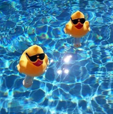 Presto's Pool Service