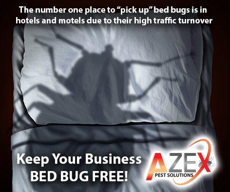 AZEX Pest Solutions