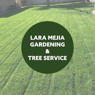Lara Mejia Gardening and Tree Services