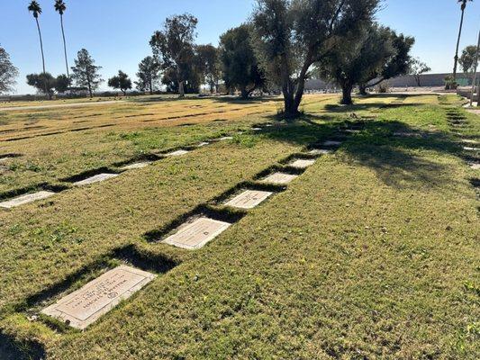 Mountain View poor landscaping