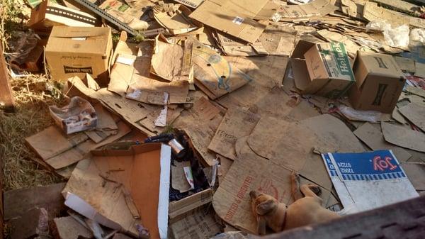 Backyard of Gazzali's Express #2. Poor dog sleeping on boxes.