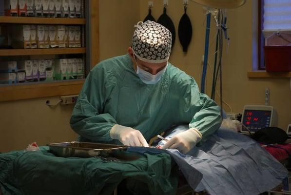 Commack Veterinary Center