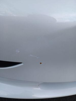 Monterey Park Auto Collision