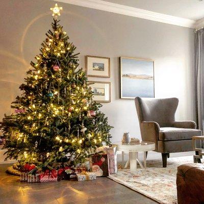 DC Tree Delivery (2018)