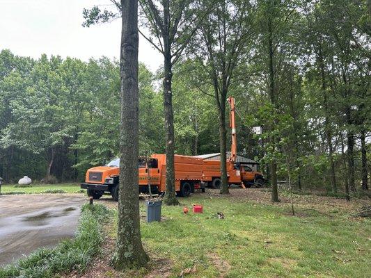 Transforming landscaping & Tree Service