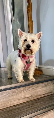 My baby girl! Bella!