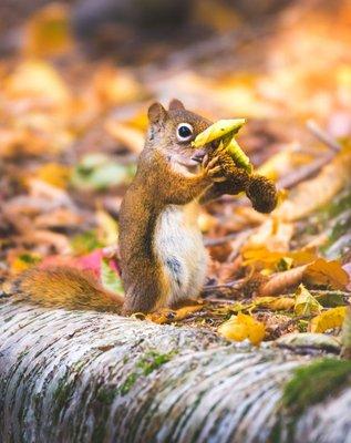 Shaun Terhune Fine Art Photography