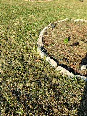 Lawn Love Lawn Care -Tampa