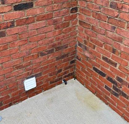 Tallahassee Softwash