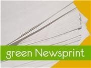 Greencubes Box Rentals